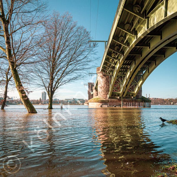 Hochwasser Köln Südbrücke