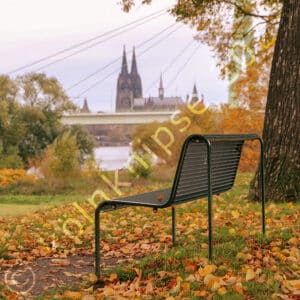 Herbst in Köln