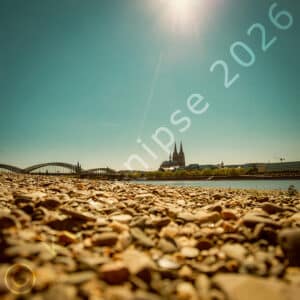 Sommer 2026 am Rhein