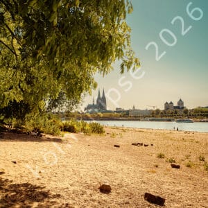 Rheinufer im Sommer 2026